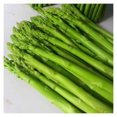 2019---2020  SOUTH AFRICA    FRESH ASPARAGUS / FROZEN ASPARAGUS